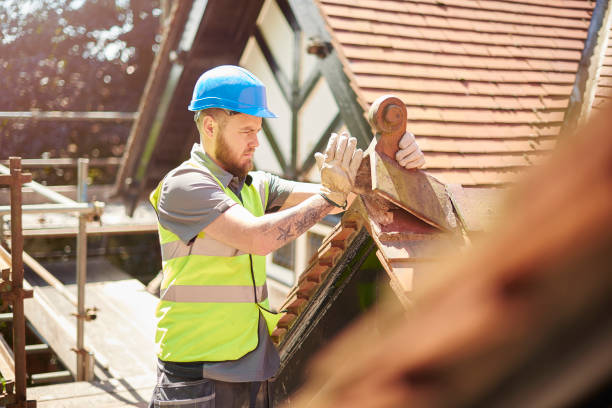 Best Metal Roofing Contractor  in Seville, FL