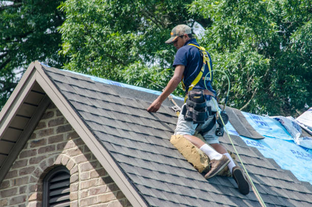 Best Residential Roofing Contractor  in Seville, FL